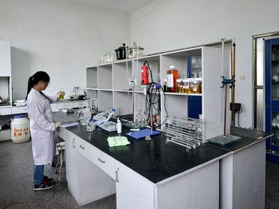 Lab